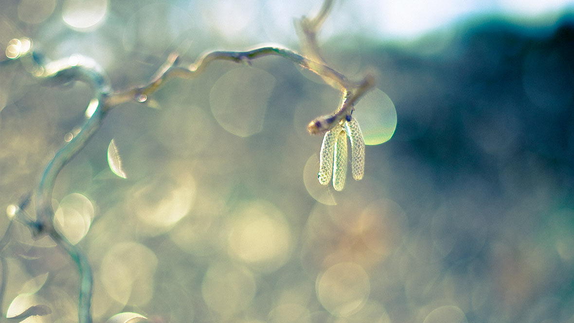 Psychotherapie München Sabine Eggstein