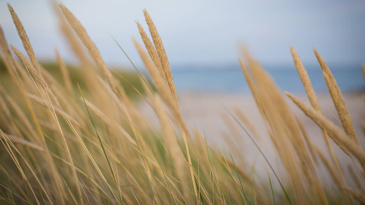 Psychotherapie München Sabine Eggstein