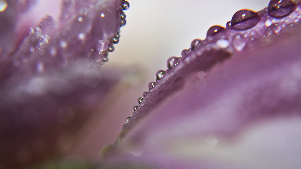 Psychotherapie München Sabine Eggstein